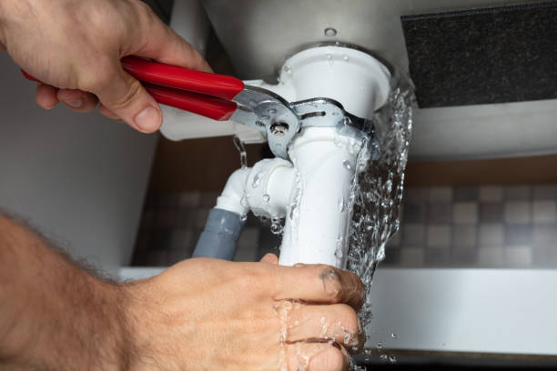 Best Sewage cleanup and water damage restoration  in Ogden, IA