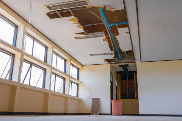 Best 24-hour water damage restoration  in Ogden, IA
