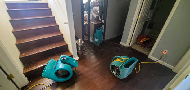 Best Water damage cleanup near me  in Ogden, IA