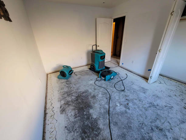 Best Flooded house restoration  in Ogden, IA