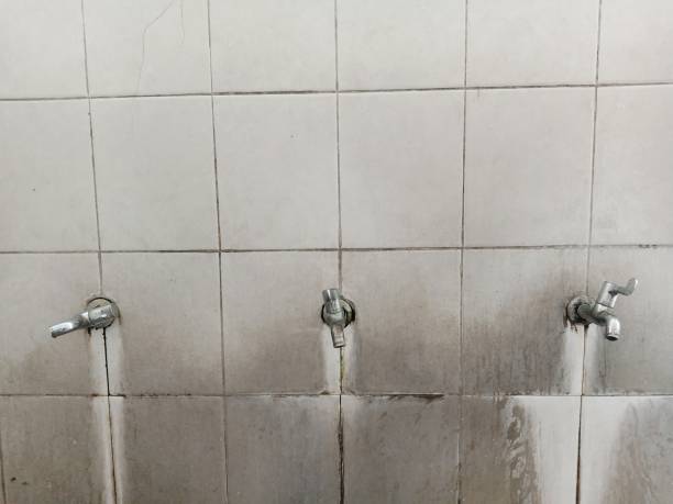 Best Water damage restoration near me  in Ogden, IA