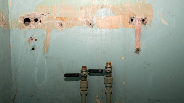Best Ceiling water damage repair  in Ogden, IA