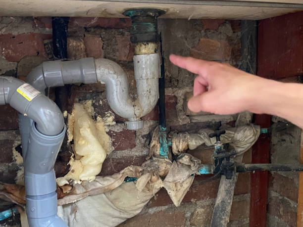 Best Professional water damage repair  in Ogden, IA