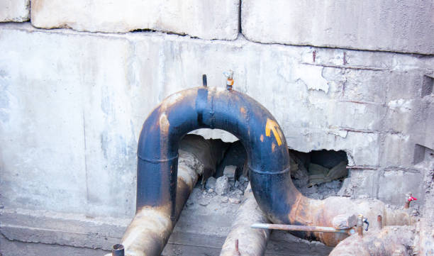 Best Flood damage cleanup  in Ogden, IA